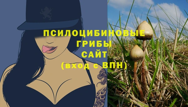 прущая мука Мегион