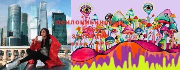 альфа пвп Дмитровск