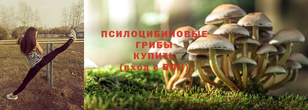 прущая мука Мегион